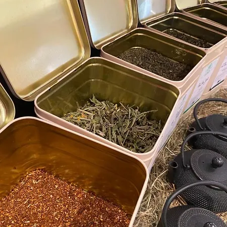 Le Clos Des Sources & 酒店