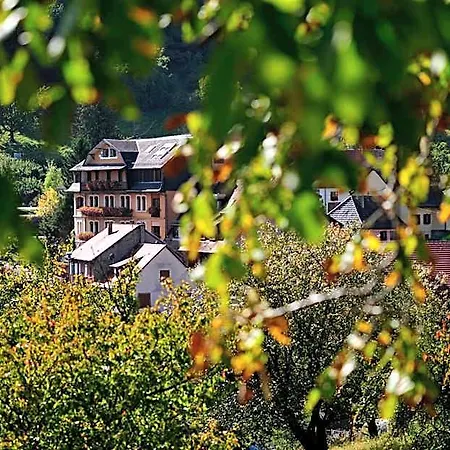 Le Clos Des Sources & ホテル タネンキルヒ