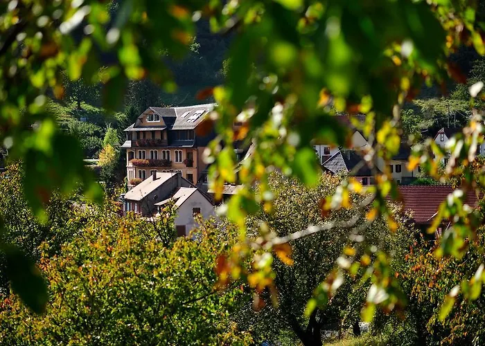 Hotel Le Clos Des Sources & Thannenkirch