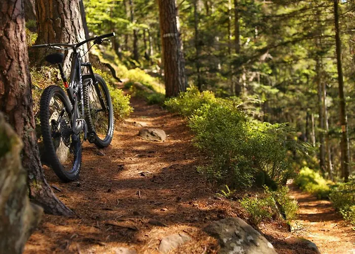 Le Clos Des Sources & Thannenkirch